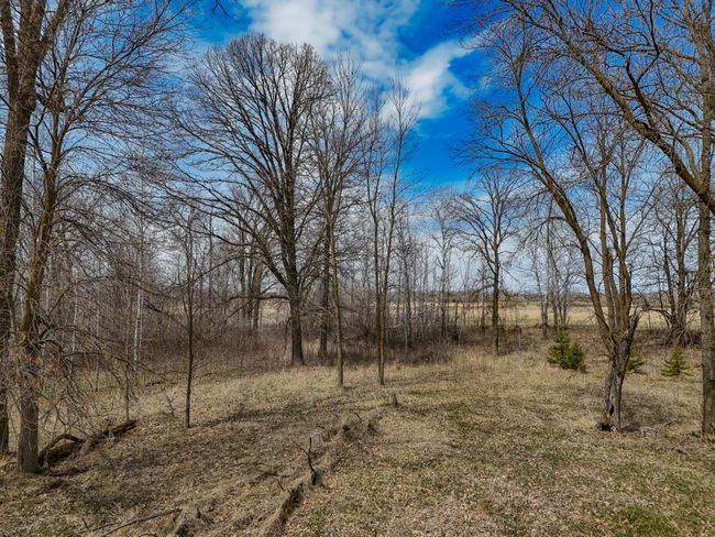 36675 County Road 150, Home with 0 bedrooms, 0 bathrooms and null parking in Frazee MN | Image 10