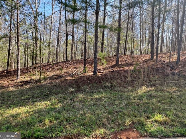 TRACT-1 - 0 Wisteria Ln, Home with 0 bedrooms, 0 bathrooms and null parking in Mansfield GA | Image 4