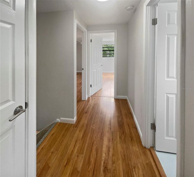 2901 W Ballast Point Boulevard, House other with 4 bedrooms, 2 bathrooms and null parking in TAMPA FL | Image 18