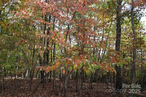 69 Adirondack Ln, Bostic, NC, 28018 | Card Image