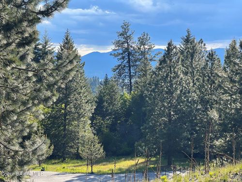 6557 S Buckrail Rd, Harrison, ID, 83833 | Card Image