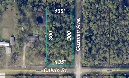 4300 Calvin St, Hastings, FL, 32145 | Card Image
