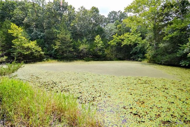 000 Us Highway 65, Home with 0 bedrooms, 0 bathrooms and null parking in Cross Timbers MO | Image 13