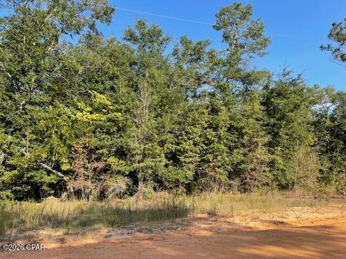 0 Koskiosko Dr, ALFORD, FL, 32420 | Card Image