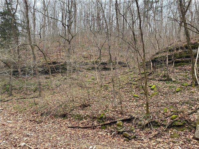 000 Holmes Rd, Home with 0 bedrooms, 0 bathrooms and null parking in Mountain View AR | Image 31
