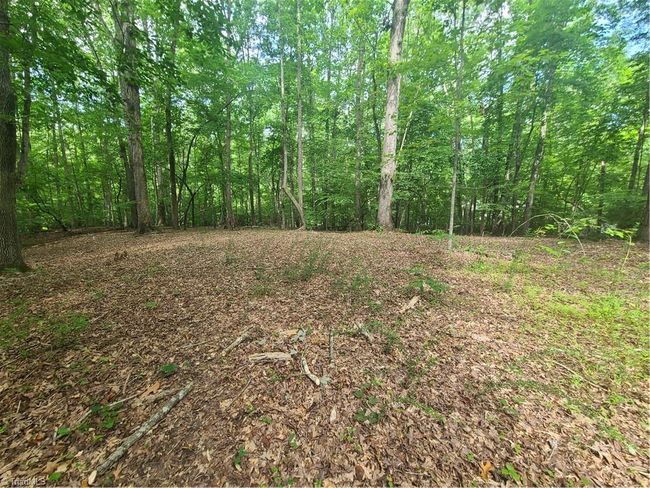 450 Crossing Creek Dr, Home with 0 bedrooms, 0 bathrooms and null parking in Belews Creek NC | Image 8