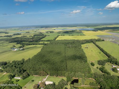 Tbd Jolene Rd, Basile, LA, 70515 | Card Image