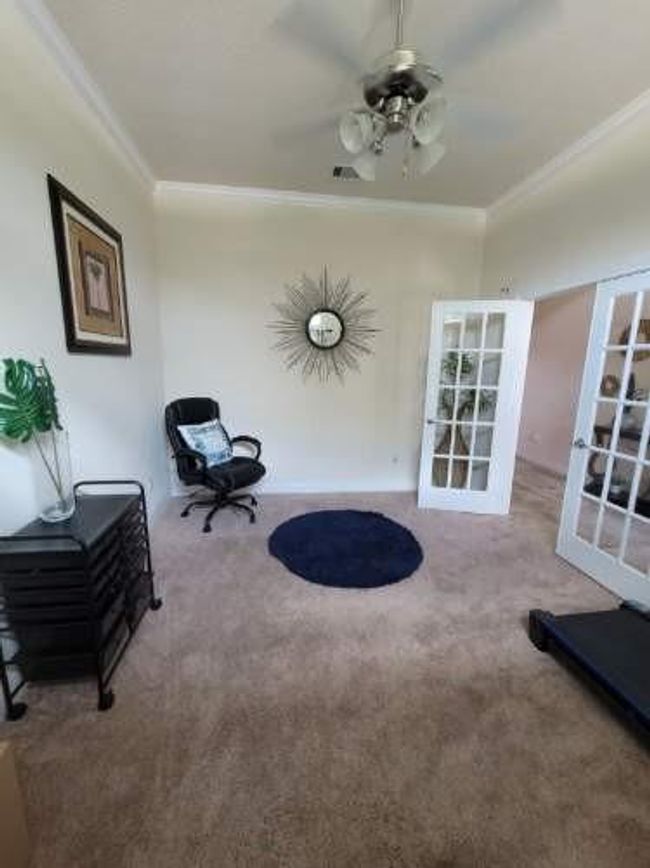 Study | Image 6