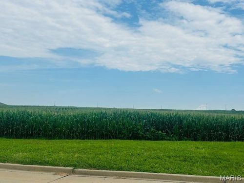 Lot 14 Columbia Ave, Waterloo, IL, 62298 | Card Image