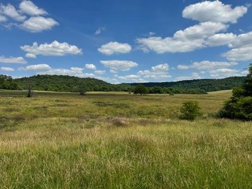 Tract 4 L And N Turnpike Road, Horse Cave, KY, 42749 | Card Image