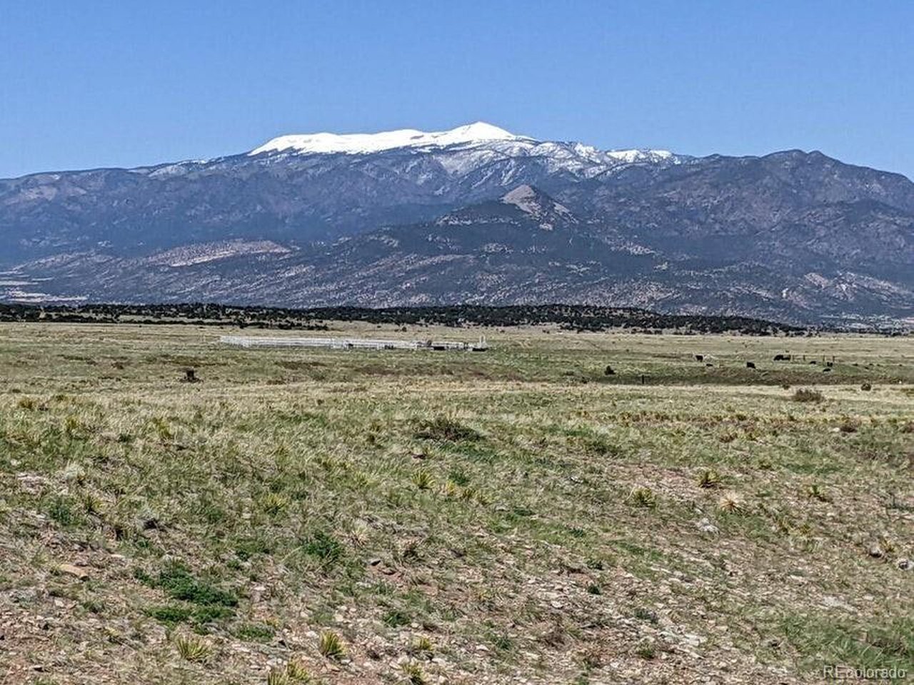 Land in Walsenburg 5