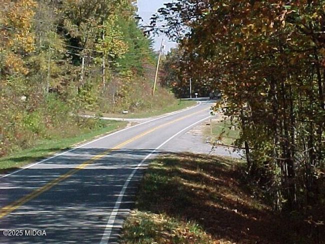4 | Image 4