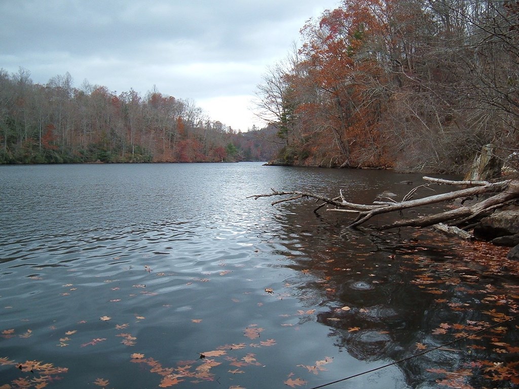 Land in Tuckasegee 5