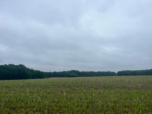 TBD (Lot 1) Hemingway Ave, North Branch, MN, 55056 | Card Image