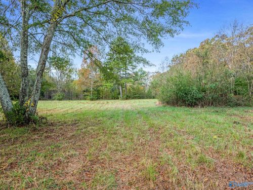 Tract 2 County Road 165, Rogersville, AL, 35652 | Card Image