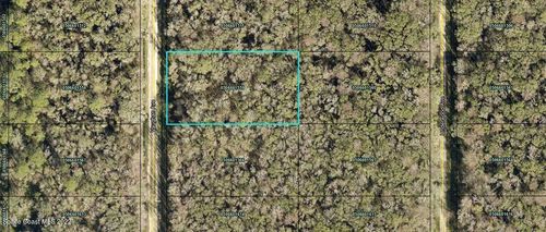 10620 Vaughan Ave, Hastings, FL, 32145-9619 | Card Image