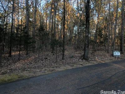 lot 111 Tannenbaum Road, Home with 0 bedrooms, 0 bathrooms and null parking in Drasco AR | Image 2