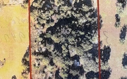 282 Sw Neverland Way, Fort White, FL, 32038-3698 | Card Image