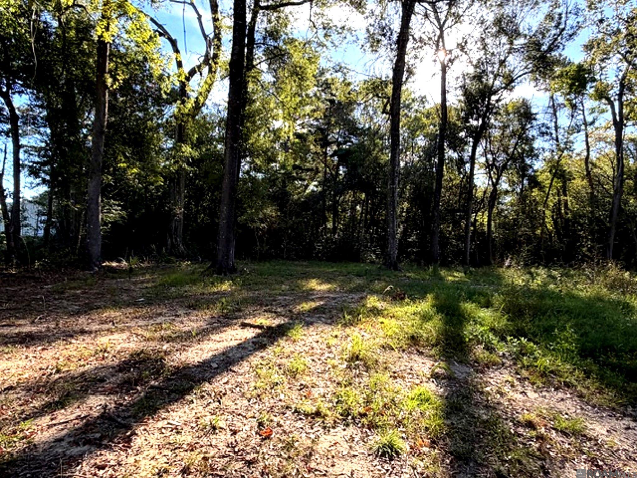Land in Denham Springs 4