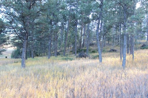 12063 Red Rock Ln, Custer, SD, 57730-9131 | Card Image