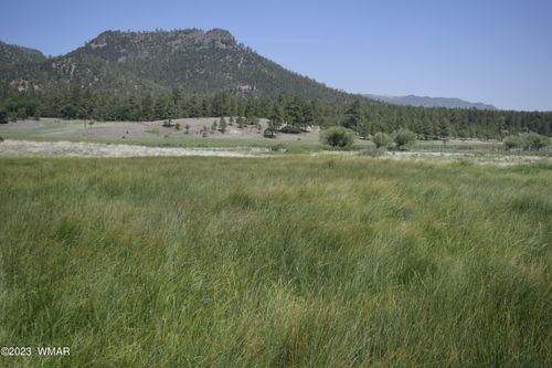 TBD County Road 2269, Nutrioso, AZ, 85932 | Card Image