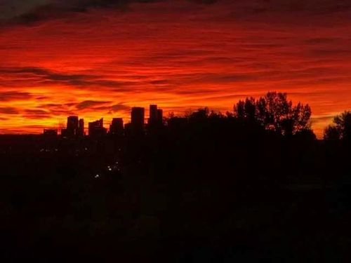 202-520 Cedar Cres Sw, Calgary, AB, T3C2Y8 | Card Image