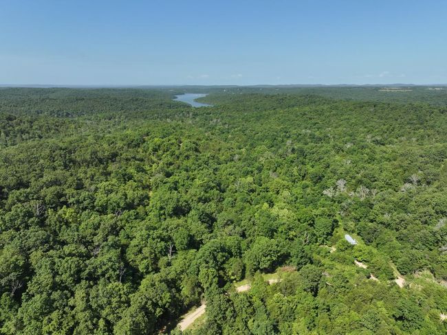 dji_fly_20250620_101948_0003_17504331176 | Image 43