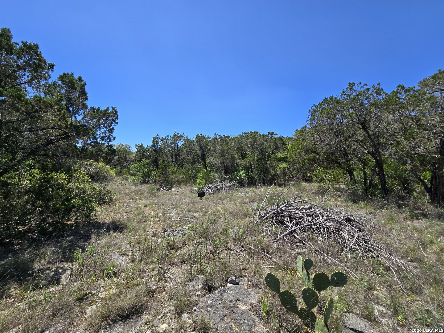 Land in Mico 3