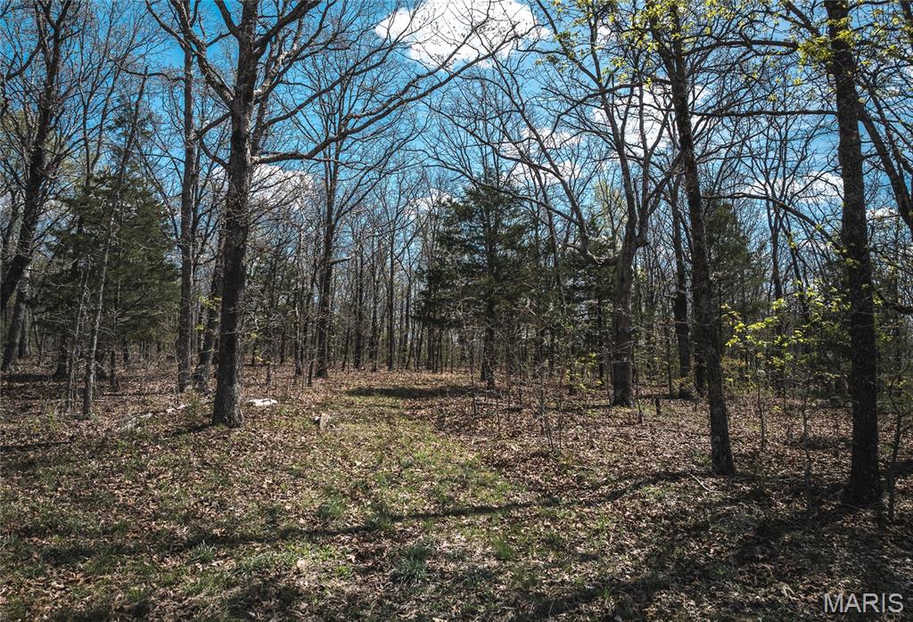 Land in Steelville 5