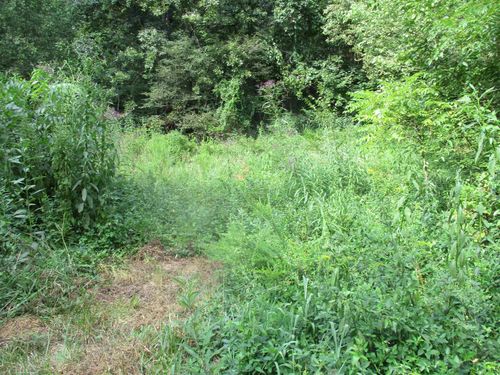 000 Hardtime Drive Roads, South Shore, KY, 41175 | Card Image