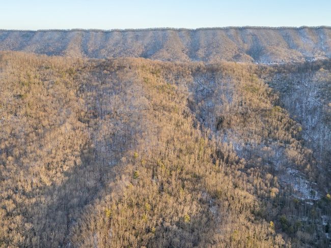 92 Acres Laurel Fork Rd, Home with 0 bedrooms, 0 bathrooms and null parking in Rocky Gap VA | Image 31
