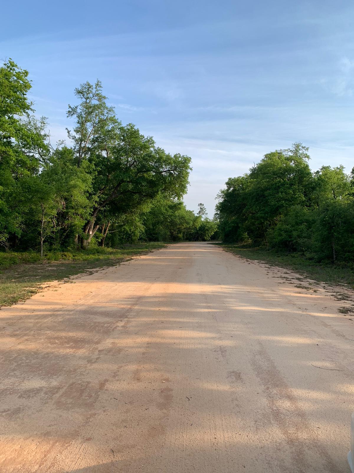 Land in Marianna 4