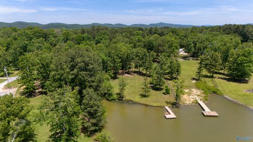 Lot 4 Coosa St, Cedar Bluff, AL, 35959 | Card Image