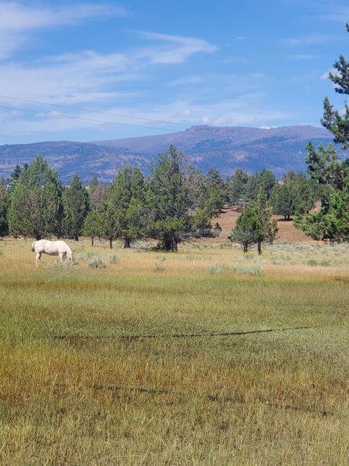 17703 Fishhole Creek Rd, Bly, OR, 97622-3212 | Card Image