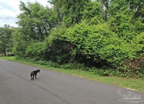 70 Juniper St, Mc David, FL, 32568-1794 | Card Image