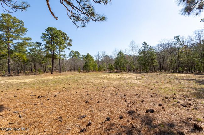 210 Palmer Grey Court, Home with 0 bedrooms, 0 bathrooms and null parking in Aberdeen NC | Image 9