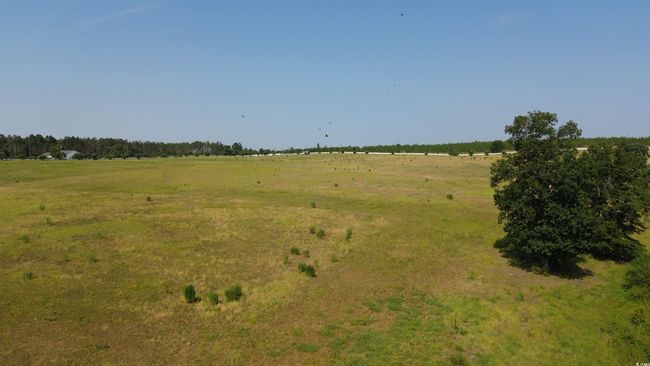 View of undeveloped land featuring rural landscape | Image 10
