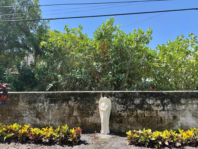 206 Russlyn Dr, House other with 3 bedrooms, 3 bathrooms and null parking in West Palm Beach FL | Image 19