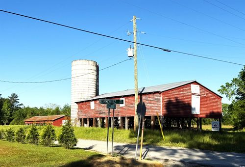 Red Barn Tract Borkowitz Rd., Scranton, SC, 29591 | Card Image