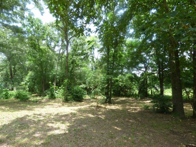 596 County Road 4218, House other with 3 bedrooms, 2 bathrooms and null parking in Mount Pleasant TX | Image 10