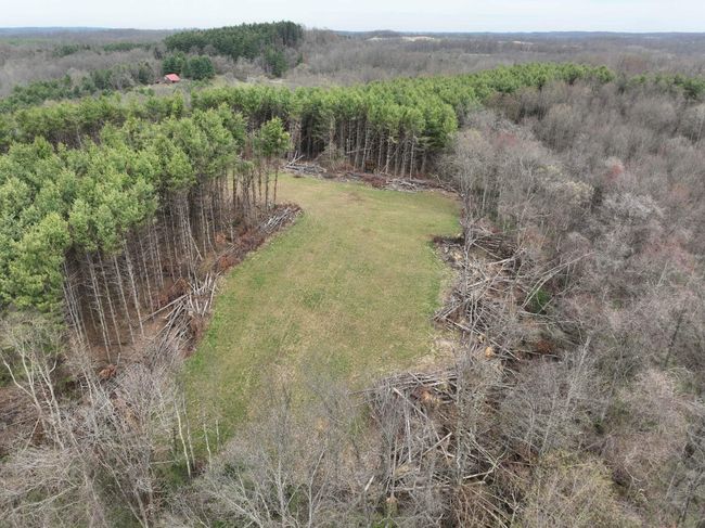 0 Don Wiley Rd, Home with 0 bedrooms, 0 bathrooms and null parking in Caldwell OH | Image 34