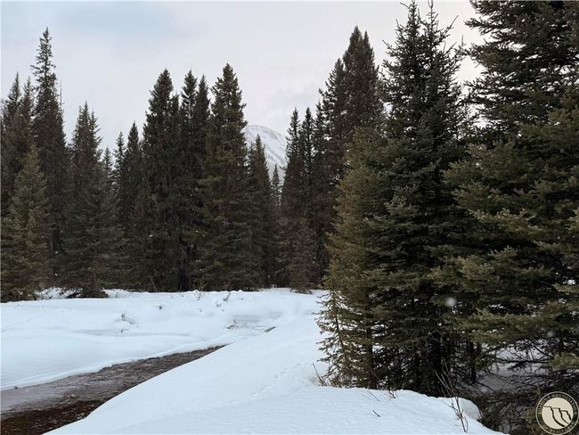 C 10 Basting Tracts, Home with 0 bedrooms, 0 bathrooms and null parking in Cooke City MT | Image 8