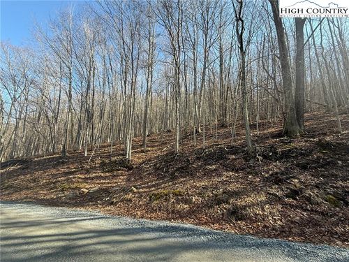 134 Locust Ridge Rd, Beech Mountain, NC, 28604-8124 | Card Image