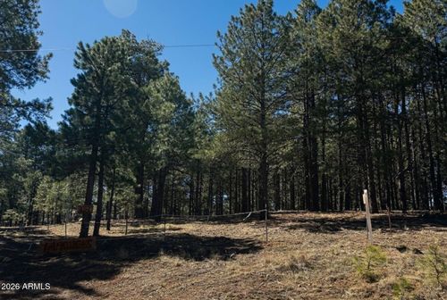 890-1080 Pond Cir, Forest Lakes, AZ, 85931-0142 | Card Image
