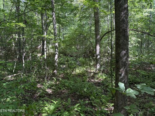 18 Laurel Loop, Monterey, TN, 38574-7104 | Card Image