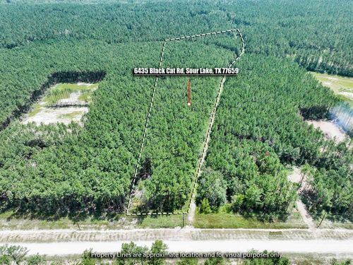 6435 Blackcat Rd, Sour Lake, TX, 77659 | Card Image
