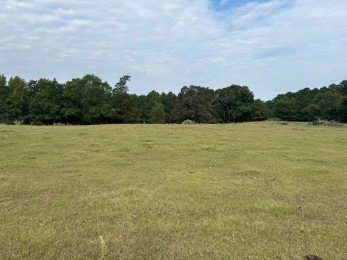 TBD County Road 165, Long Branch, TX, 75669 | Card Image