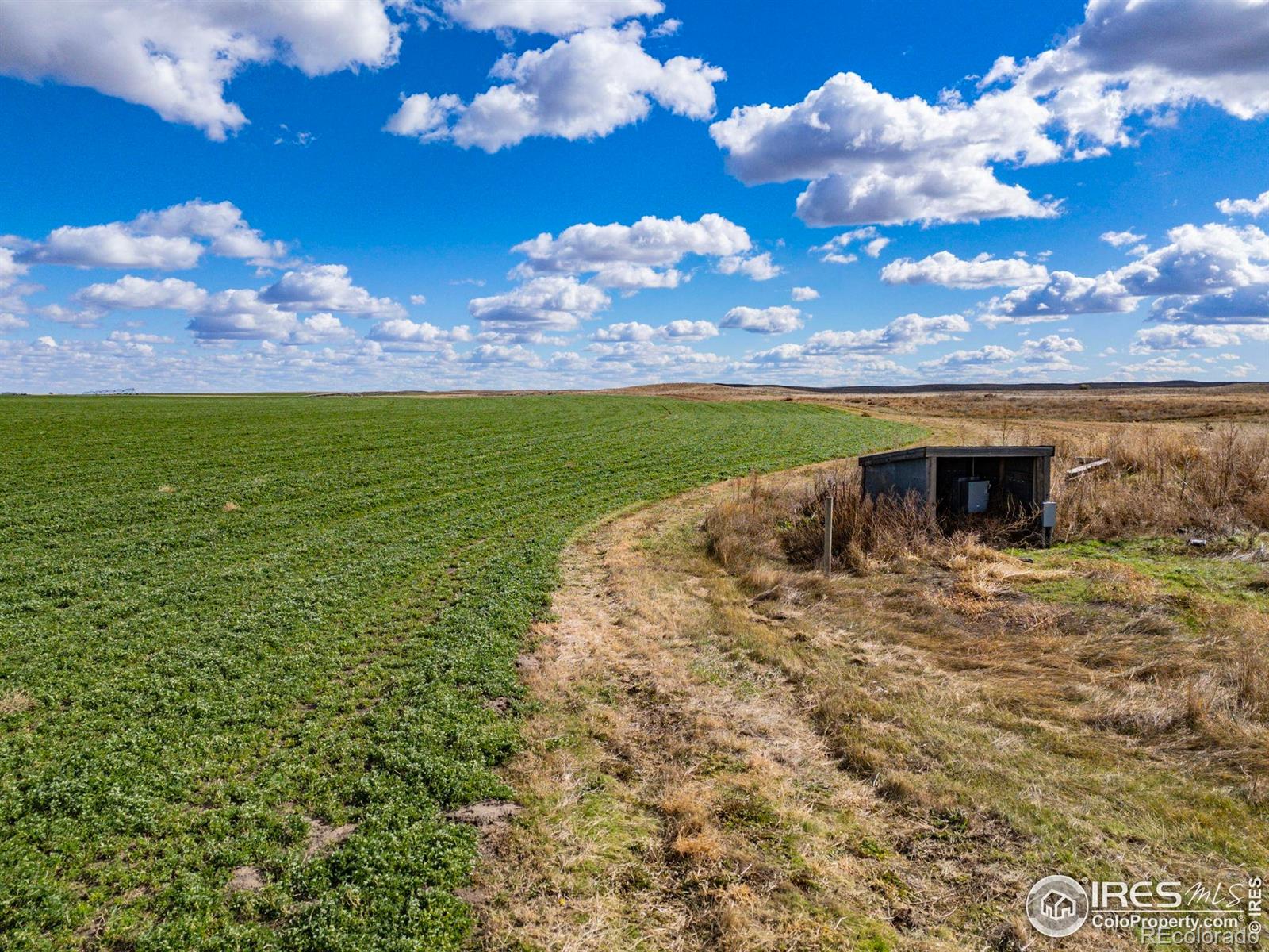Farm in Fort Morgan 4