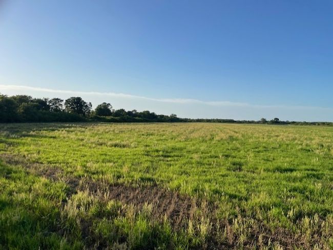 2051 E Fm 583, Home with 0 bedrooms, 0 bathrooms and null parking in May TX | Image 17