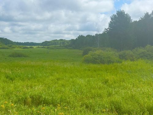 000 370th Ave, Hillman, MN, 56338 | Card Image